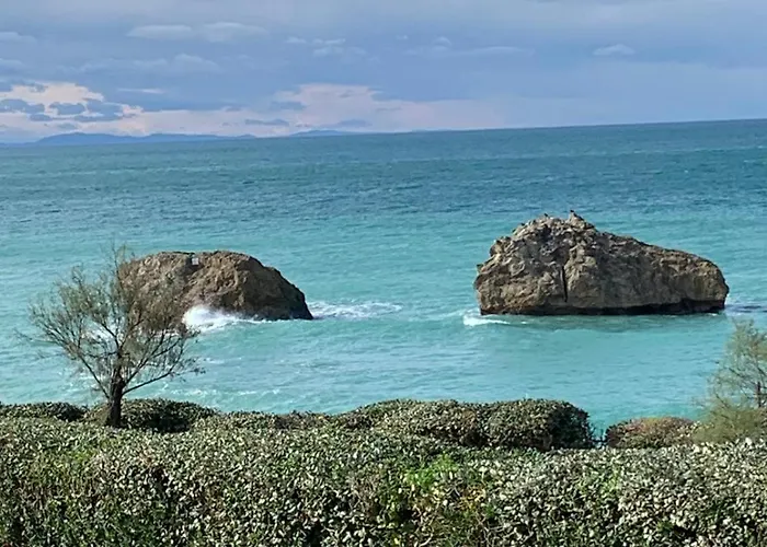 Le Cocon Du Hameau *